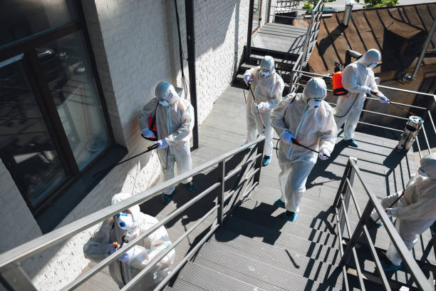 Best Environmental Consulting for Mold Prevention  in St Clair Shores, MI