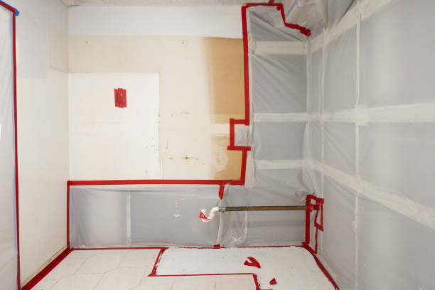 Best Mold Removal for HVAC Installations  in St Clair Shores, MI